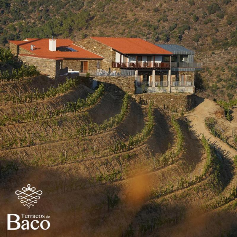 Villa Terracos De Baco Ribalonga Exterior foto